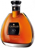 CAMPUS. ELEGANCE. X.O.